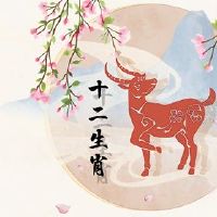 在绵羊和兔子中婚姻是好的。