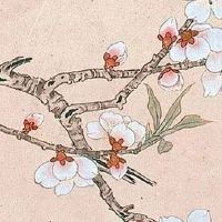 2022生肖猪5月份的爱情运势大盘点 感情运势欠佳