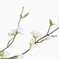 紫微星化权在夫妻宫 紫微星坐夫妻宫喜欢什么类型