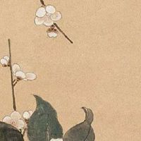 面相学耳朵小代表什么 面对感情容易摇摆