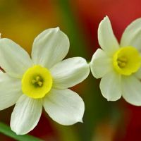 这个名字的三大星座，典型的铁公鸡，富人和穷人