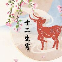 1991年绵羊妇女在生命时代后30岁。