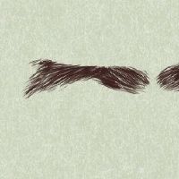 女人的脸，最准确的画面，下巴，蘑菇，你可以做到。