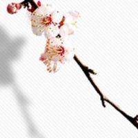 流年天机星在夫妻宫 天机星入夫妻宫看另一半