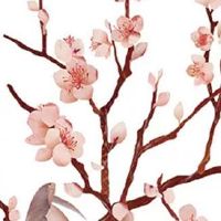 流年暗合夫妻宫 流年冲动婚姻宫有成婚的缘分