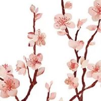 测算另一半长相最准 八字如何看爱情好坏