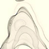 2022年6月12日出生属虎男宝宝命运好吗 衣禄足用 财运亨通