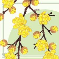 庚金女2022年财运 财运喜人人脉广