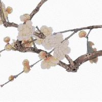 招风耳和招财耳的区别 招财耳能带来财运