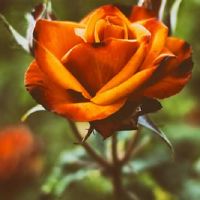 我敢于做三大星座，敢于敢于追逐梦想。