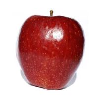 这四星级持有人易于辛读，这四个星座太直，他们没有掩护。