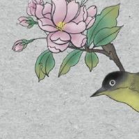 开店铺怎么起名 助运洋气开店取名