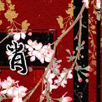 黄道带越来越有短暂的黄道带，是吗？