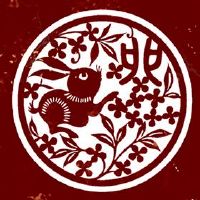 男孩出生在兔子，出生，兔子，几个月。