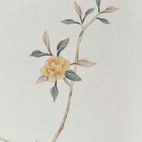 吉利数字1一80有哪些 车牌数字的吉利风水对照表