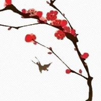 紫微斗数看流年桃花运 流年有桃花运一定好吗