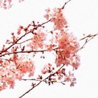 武曲天相在夫妻宫配偶长什么样 妻子持家有方容貌美丽