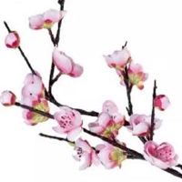 2022年看流年夫妻宫 武曲化忌在官禄宫事业影响大