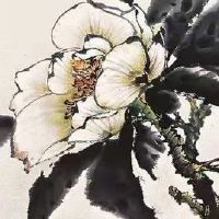 水命的人名字里应该带什么为好 水命人的取名推荐