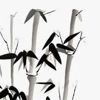 命中带财的女人八字 身旺喜财命中有财