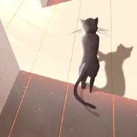 我应该在2022年夏天注意什么，“越来越多地吃饭