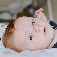 2022年，老虎年份诞生于老虎的年度，带有“毛巾”。