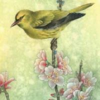 粉店的名字取个什么名字最好 最新旺财运店面名字