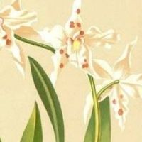 五行店铺取名 火命人开店取名宜用字