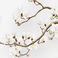 生辰八字周易免费测车牌号码 必选的车牌组合