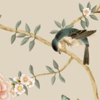 为什么车牌号尾数要选7 风水圆满和谐的车牌尾数