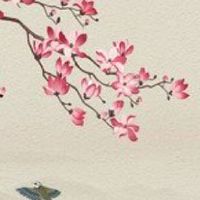 4字开头的车牌号好吗 寓意四旺的车牌号开头