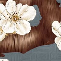 444车牌号到底要不要 车牌中带4能寓意四世同堂