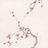 2022年夏至日出时间和日落时间分别是多少