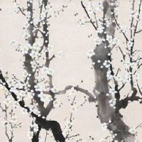 虎年夏至出生的孩子起名 好听到爆的名字精选