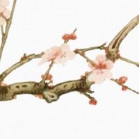 耳朵轮廓有痣代表什么 左耳有痣财运旺