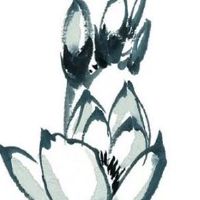 今日五行穿衣色查询:2022年8月31日幸运色指南