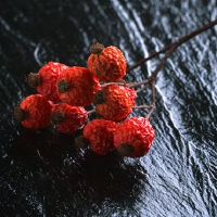 苏珊米勒周星座财富（4.18-4.24）