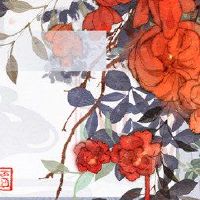 我只爱我妻子的十二生肖，让妻子的好人是这些黄道带