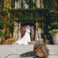 结婚女方需要准备哪些红包 给接亲人略显心意即可