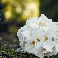 女方送亲代表讲话简单 讲究思路的连贯性