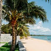 你在夏天的热量中可以吃什么？