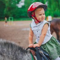 Tiger Baby出生于2022年，诞生的老虎婴儿拿一个免费的推荐