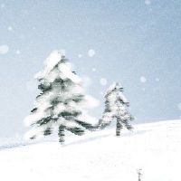 在2022年，农历新年的月球9月汽车选择吉义鑫汽车在卡上