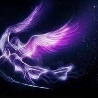 处女座今天的财富