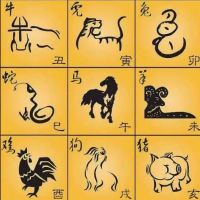 2022年老虎年度虎（2022年虎年“