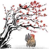 81年萧鸡今天的财富81起出生萧鸡2022财富