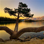 女孩姓名的名称很好。