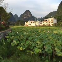 蛇人的婚姻和命运是如何？