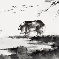 1971年，一名猪人三个主要的白人婚姻失败了财产损失