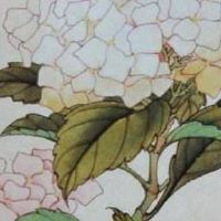 商标名免费吉凶查 聚人气好听店面名字